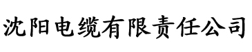 快穿日常灌溉系统电缆厂logo